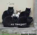Наталія Телефус фотография #13 (источник - https://vk.com/id146635052)