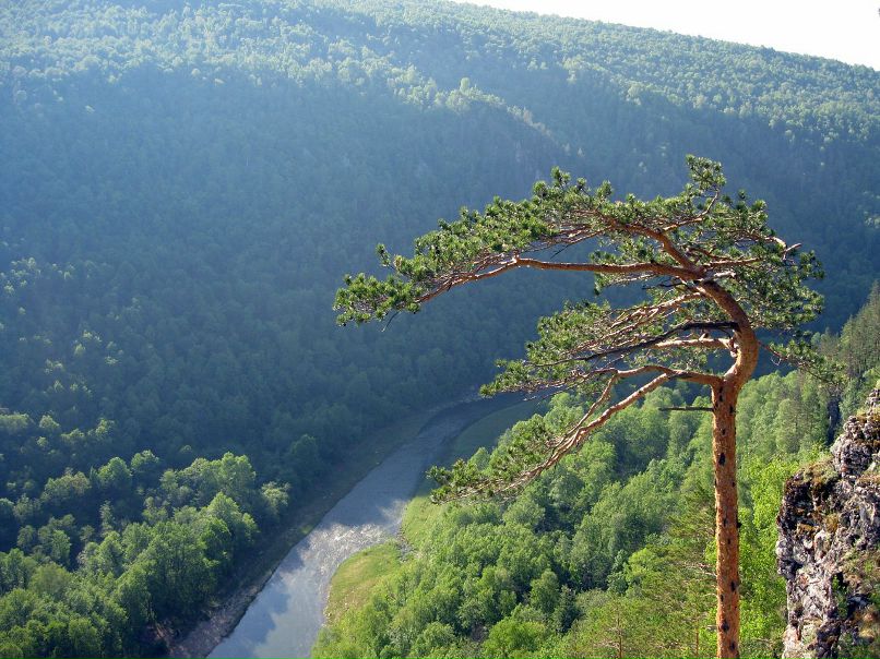 Сергей Левин фотография #27