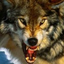 Сергій Ынпеыукф фотография #8 (источник - https://vk.com/id98822908)