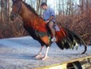 Ігор Пахольчук фотография #46 (источник - https://vk.com/id150317660)