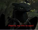 Сергій Стефанишин фотография #28 (источник - https://vk.com/id177048230)