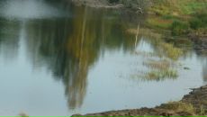 Фотография Кореньковой Елены