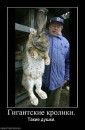 Nаталія Nаталія фотография #30 (источник - https://vk.com/id54485185)