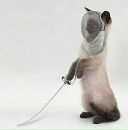 Фотография Гулюгина Хатуна