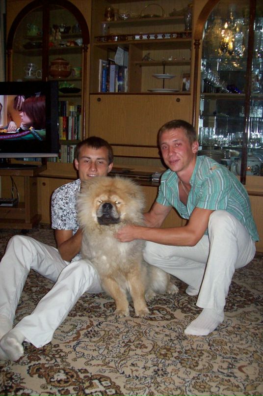 Дмитрий Харлашкин фотография #41