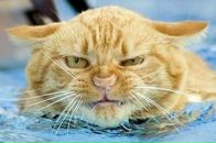 Фотография Лямзина Евгения