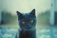 Алька Ммммммммм фотография #49 (источник - https://vk.com/id15384279)