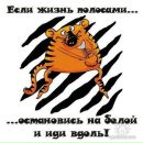Тетяна Ігнатова фотография #41 (источник - https://vk.com/id73509291)