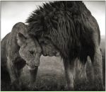 Фотография Долматова Игоря