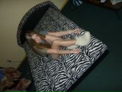 Фотография Novikova Yana