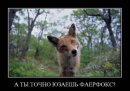 Сергей Шмидт фотография #24 (источник - https://vk.com/id13197202)