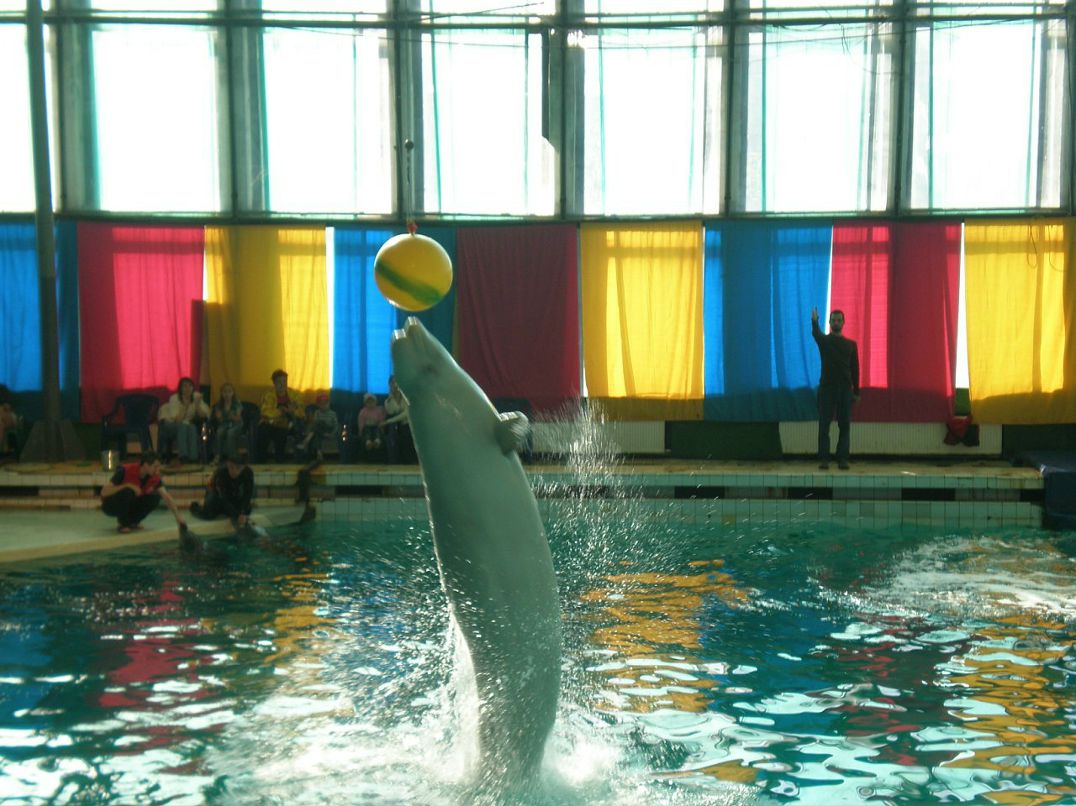 Ирина Мальцева фотография #40