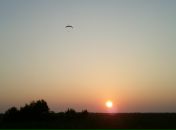 Фотография Курбацкого Евгения