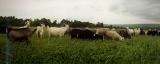 Фотография Баринова Ивана