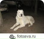 Фотография Рождественской Анны