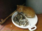 Фотография Багузовой Марины