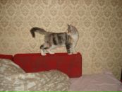 Сергей Орлов фотография #34 (источник - https://vk.com/id2349993)