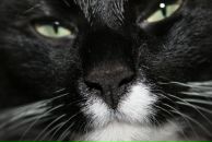 Фотография Шайдаковой Полины