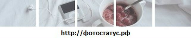 Шунічка Емочка фотография #47 (источник - https://vk.com/id16277177)