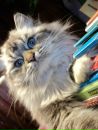 Фотография Ключникова Ильи