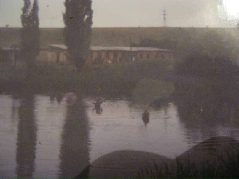 Данил Нилович фотография #27