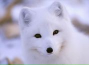 Фотография Райской Светланы