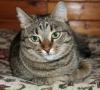 Фотография Забабурина Станислава