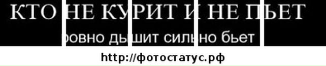 Віталя Вознюк фотография #24 (источник - https://vk.com/id62530668)