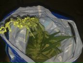 Рідік Нізін фотография #1