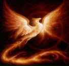 Фотография Feniks Кристины