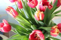 Фотография Михеевой-Кармадоновой Анны