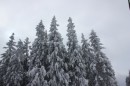 Андрій Гончарук фотография #42 (источник - https://vk.com/id8862072)