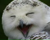 Фотография Товпеля Григория