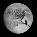 Фотография Валерьевича Петра