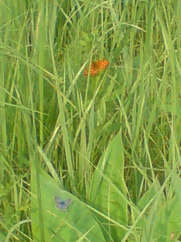 Дмитрий Федуленко фотография #4