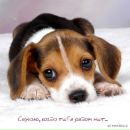 Фотография Рыжик Иры