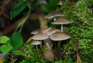 Фотография Сивковой Татьяны