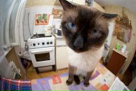 Фотография Тихонова Сергея