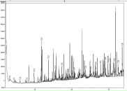 Фотография Рубля Одина