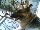 Віталік Гайдук фотография #46 (источник - https://vk.com/id79282268)