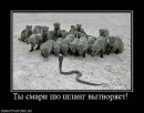 Дмитрий Винник фотография #30 (источник - https://vk.com/id26933235)