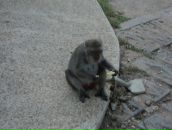 Francua *_*_* фотография #10 (источник - https://vk.com/id68343578)