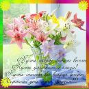 Бардецька Ірина фотография #37 (источник - https://vk.com/id179122511)