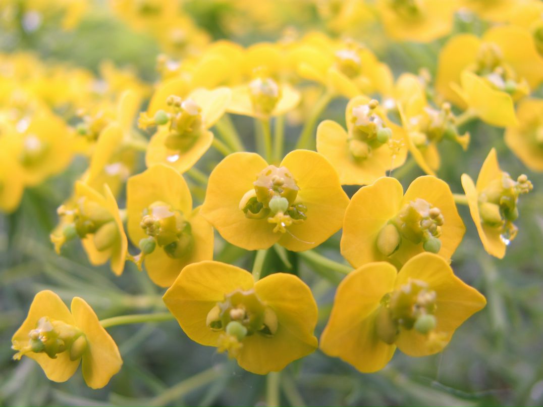 Евгений Иванов фотография #41