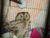 Іван Чернявський фотография #17 (источник - https://vk.com/id23612277)