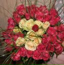 Фотография Томайлы Натальи