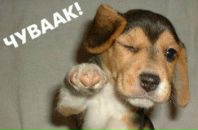 Ілля Харечко фотография #12 (источник - https://vk.com/id92095277)