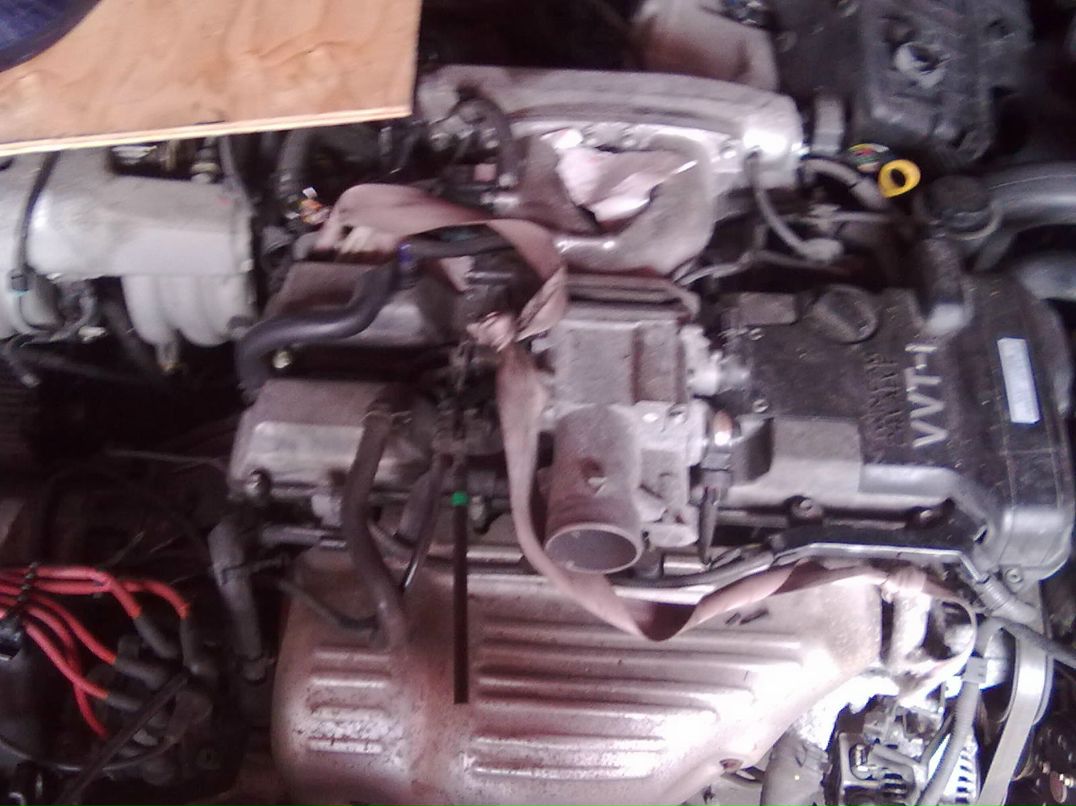 Игорь Романенко фотография #43