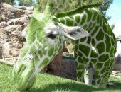 Фотография Кудряшовой Людмилы