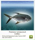 Андрій Орищак фотография #46 (источник - https://vk.com/id43615340)
